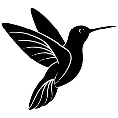 hummingbird vector 