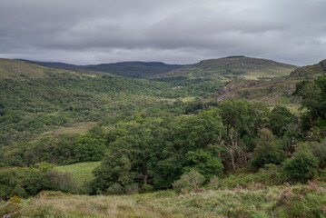 Obraz premium A scenic view of Derrycunnihy Wood in Ireland, showcasing lush greenery, rolling hills, and dense vegetation under a cloudy sky