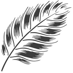Obraz premium A Single Leaf skeleton design High Quality Editable Vector Design and illustration