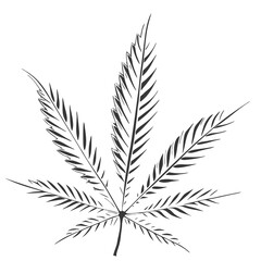 A Single Leaf illustration High Quality Editable Vector Design and illustration