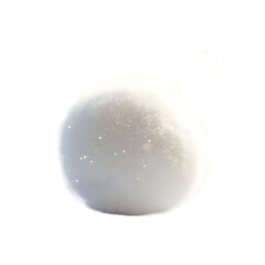 Fluffy 3D Bunny Tail Isolated on Transparent Background