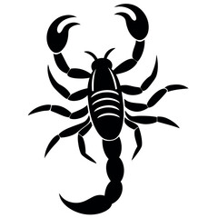 scorpion isolated on white background vector illustration