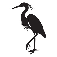 Silhouette of a Graceful Heron Bird Standing