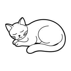 sleeping cat