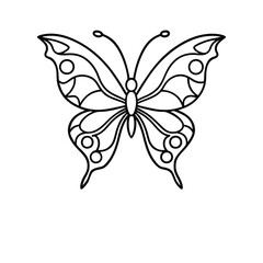 Fototapeta premium butterfly 