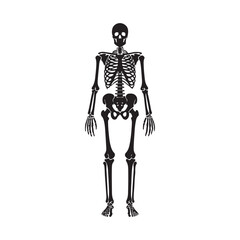Human Skeleton Silhouette Illustration Vector Graphic