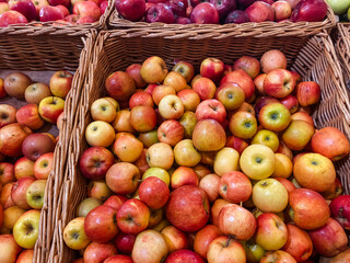 Wicker baskets that are brimming with a delightful assortment of apples showcasing various sizes, shades, and vibrant colors to make them visually appealing and enticing to consumers