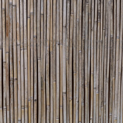 Bamboo textured background with natural wooden patterns and tropical design
