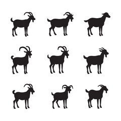 black silhouettes, goats