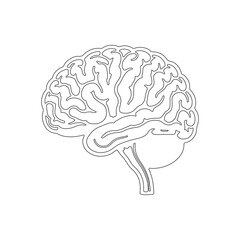 Medical illustration, anatomical brain diagrams, black and white sketches, scientific drawings