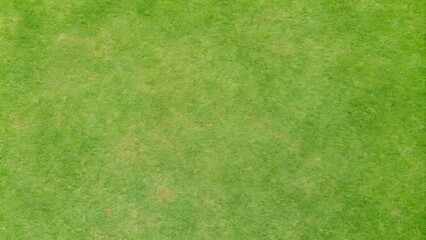 Fototapeta premium golf fairway grass texture top view
