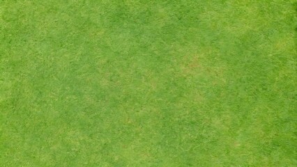 Fototapeta premium golf fairway grass texture top view