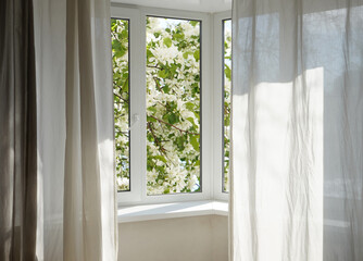 View from the window on the garden plum trees in blossom.