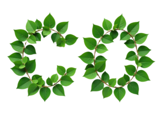 Green leaves arranged to form the letters 'GO' Ideal for eco-themed designs websites or educational materials  Represents growth and nature