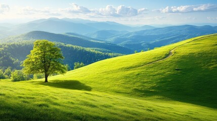 Fototapeta premium A peaceful landscape features rolling green hills and a solitary tree under a bright blue sky