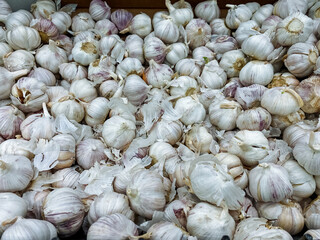 A sizable pile of garlic is currently sitting on a table, ready to be used in various culinary dishes and recipes, showcasing its importance as a fundamental ingredient in cooking