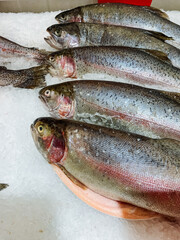A collection of various fish are beautifully arranged and sitting on a plate, which is resting on ice, ensuring their freshness and inviting presentation for potential diners