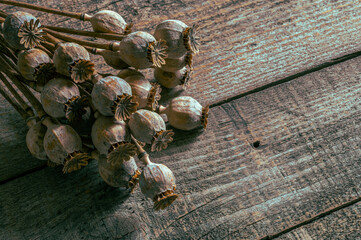Poppy heads lie on an old wooden table. Poppy harvest