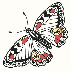 butterfly2