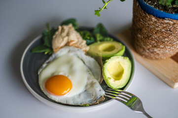 Close up of fresh cooked healthy organic Ayurvedic breakfast with farmer's fried egg, humus and organic herbs, avocado.