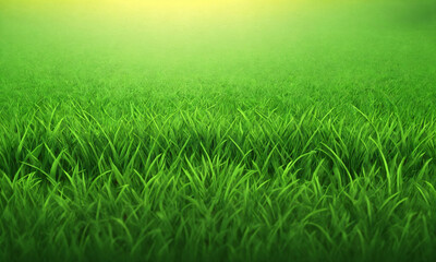 Obraz premium Lush green grass stretches under a bright sunlit sky at midday in a tranquil outdoor setting
