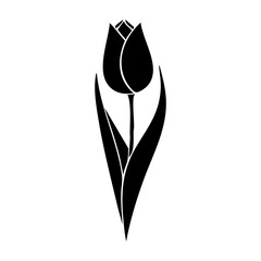 illustration of a tulip