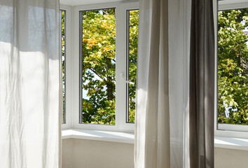 Obraz premium View from the window on the garden green trees.