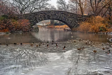 Poster Gapstow Bridge in Central Park