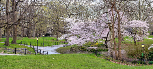 Central Park in spring