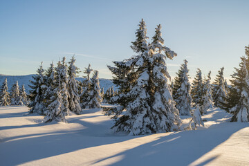 Obraz premium Karkonosze