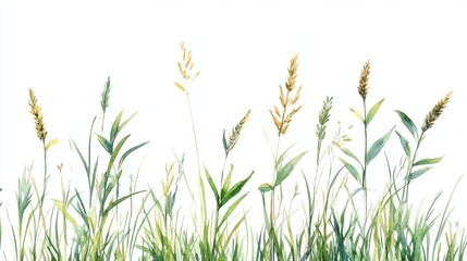 Watercolor Green Grass Side View for Landscape and Architecture Drawing