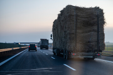Road transport. © Tomasz Warszewski
