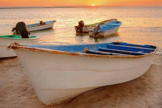 fishing boats or pangas on the  beach in the malecon of La Paz Baja California Sur. MEXICO. summer sunset