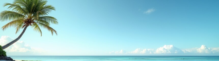 Obraz premium Palm tree on the beach with a blue sky