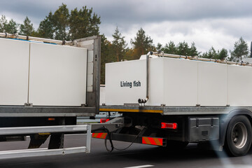 Truck carrying live fish big white tanks highway with forest background. Semi trailer cargo vehicle...