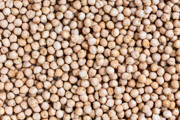 Chickpeas Close-Up.
