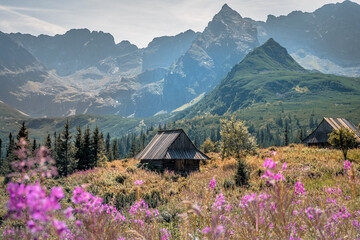 Polish Mountain Scenery With Shepherd