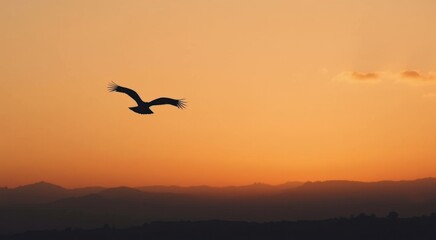 Obraz premium Araffe flying in the sky at sunset with mountains in the background