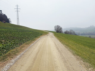 A dirt road stretching through a green countryside landscape under a cloudy sky. The scene captures...