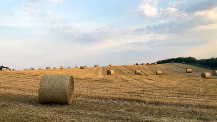 Sunset light illuminates circular hay bales scattered throughout a golden rural field, evoking tranquility - North Yorkshire, UK