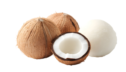 Organic Coconut Oil Lip Balm