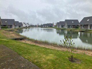 Obraz premium Blick auf die Küstenlandschaft von Nieuwvliet-Bad in den Niederlanden