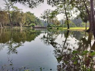 Fototapeta premium Beautiful Water lake, forest reflection and nature landscape. Serene forest view. 