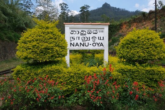 Nanu Oya station in Sri Lanka. It is main railway station in Nuwara Eliya region, Sri Lanka