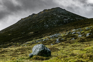 A large grey boulder rests in short, grassy terrain. A distant, green-covered mountain rises under...