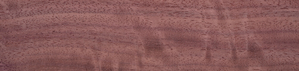 Evaporated lime veneer with a fine, even grain and soft beige color