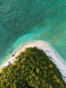 Ariel Drone shot beach island with palm trees sunset blue ocean