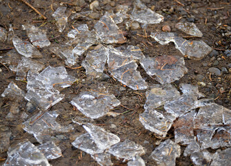 Scattered Ice Shards on Muddy Ground