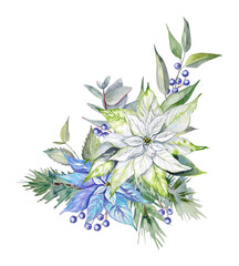 Watercolor winter bouquet with blue and white-green poinsettias, blue berries, green leaves, mint-colored eucalyptus branches, and spruce branches on a transparent background. Christmas composition.