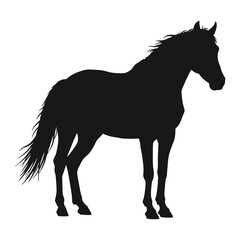 Horse silhouette vector.